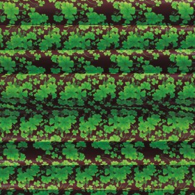 Трансферно фолио "Chance - Детелини"